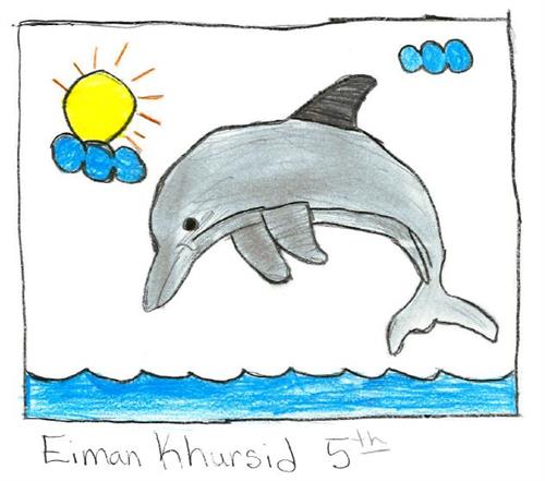 Dolphin by Eiman 